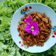 Biji ketapang renyah.