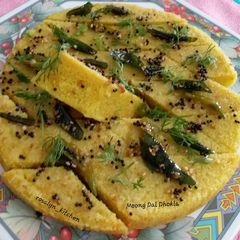 A picture of Moong Dal Dhokla.