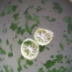 A picture of Mint lemonade.