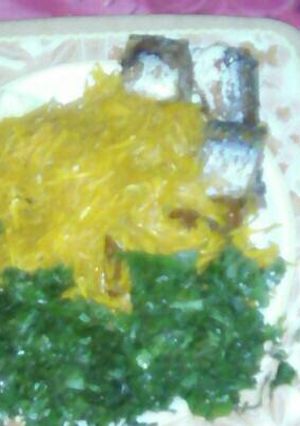 A picture of Abacha.