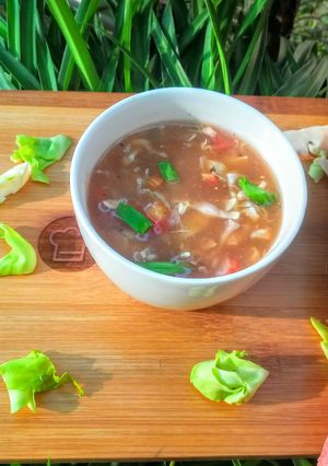 A picture of Hot n Sour Soup.