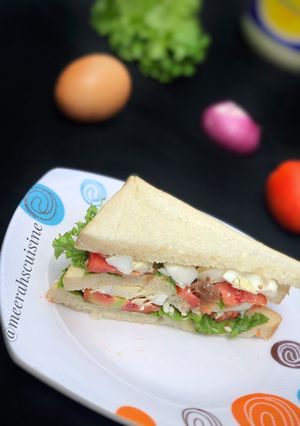 A picture of Egg club sandwich.