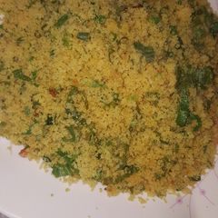 A picture of Simple cuscus.