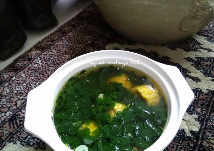 5 Alasan Mengapa Resep Sayur Bening Kelor Ini Wajib Dicoba!