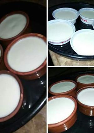 صورة لوصفة زبادي في البيت