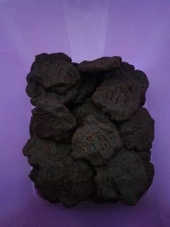 Foto resep Nutrijell Cookies Coklat