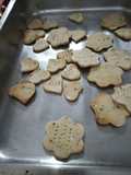 Galletitas saladas con harina de arroz "Celíacos"