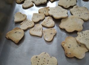 Una foto de Galletitas saladas con harina de arroz "Celíacos"