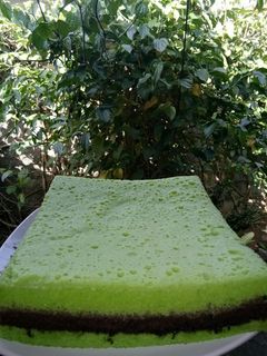 Foto resep Brownies Kukus Coklat Pandan