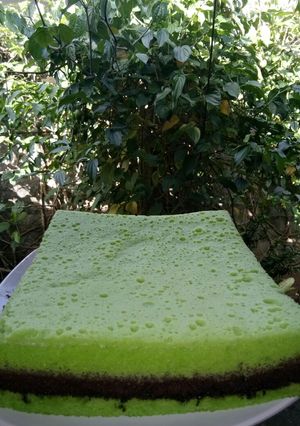 Foto resep Brownies Kukus Coklat Pandan
