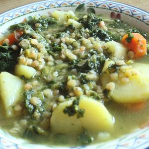 Sopa continental y silvestre