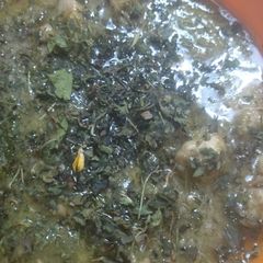 A picture of Green Chicken.