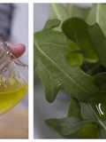 Ginger and lemon vinaigrette