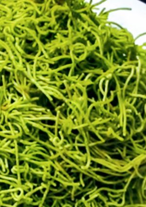 पालक फुदिना सेव रेसिपी मुख्य फोटो
