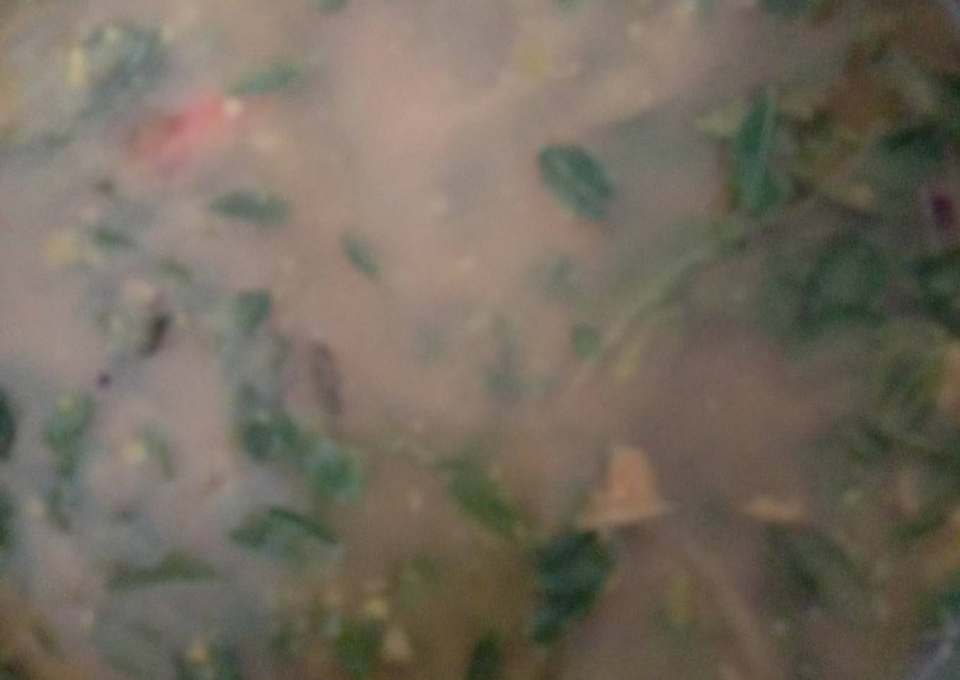 Chicken thighs with healthy mung broth