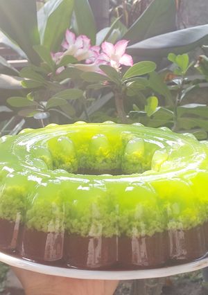 Foto resep Puding Lumut