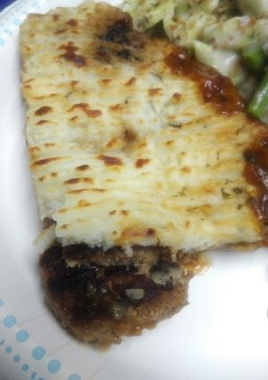 A picture of Salisbury Steak Casserole.