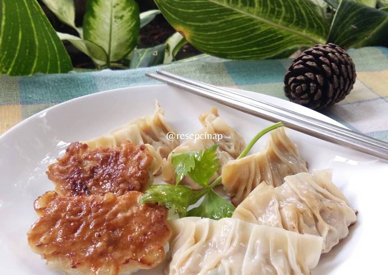 Gyoza (pangsit panggang Jepang)