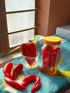 লঙ্কার আচার (Lonkar achar recipe in Bengali) রেসিপির প্রধান ছবি