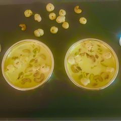 A picture of Royal Creamy Kaju~Makhana Kheer😋Fasting Prasad 🙏.