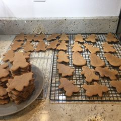 A picture of Gingerbread People.