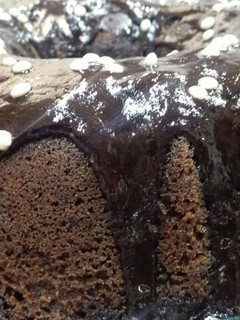 عکسی از دستور کیک شکلاتی خیس (ترکیه ای) منصوره پز