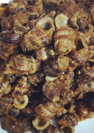 Foto resep Siput Sedot (Katuyung) 🐚🐚 Pedass Mampus