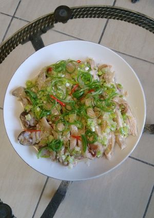 蔥油雞 的食譜成品照片