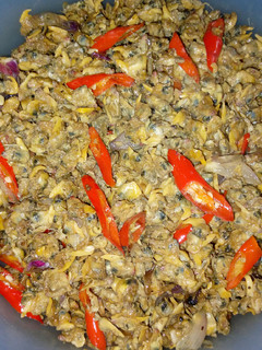 Foto resep Tumis kerang Ecol/Kupang
