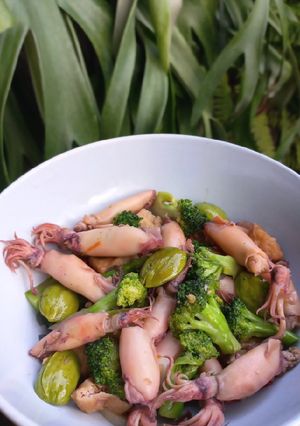 Foto resep Tumis cumi asin