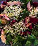 Ensalada de espinacas y trucha ahumada