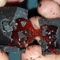 A picture of Pomegranate chocolate bites.