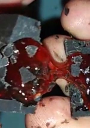 A picture of Pomegranate chocolate bites.