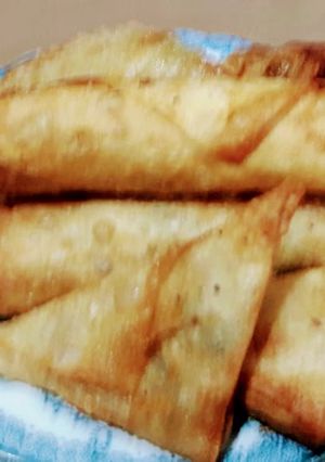 A picture of Frozen Samosa's and Spring Rolls.