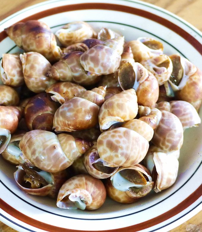 胡椒鳳螺 的食譜成品照片