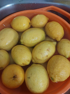 صورة لوصفة مركز الليمون وعصير الليمون 🍋