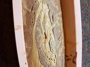 Una foto de budin con harina integral
