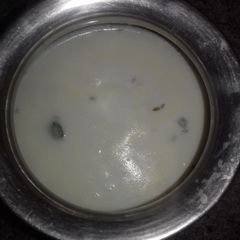 A picture of Hot Milk.