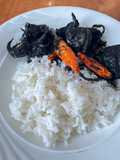 Balakutak Hitam / Cumi Sotong Hitam