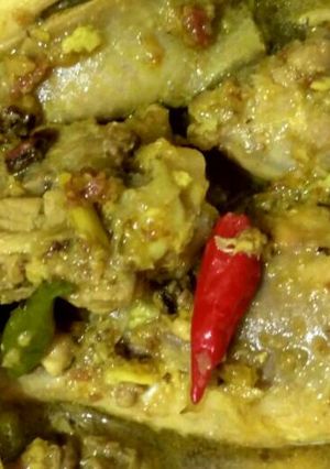 Foto resep Opor Ayam Maknyuss