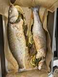 Sea Bass
