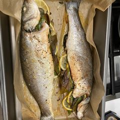 A picture of Sea Bass.