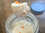 A picture of vanilla greek yogurt