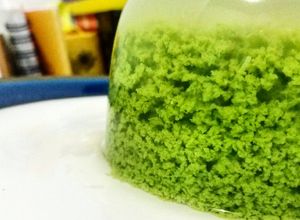 Foto resep Puding Lumut