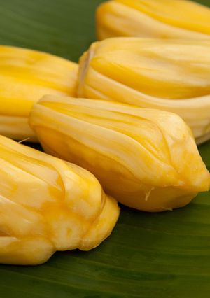 A picture of Jackfruit halwa.