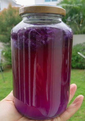 รูปของ น้ำส้มสายชูหมักดอกอัญชัน / Homemade Butterfly Pea Flower Vinegar