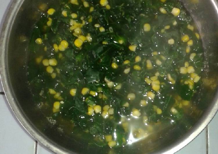 Sayur bening daun katuk