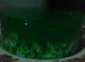 Foto resep Puding lumut esen pandan