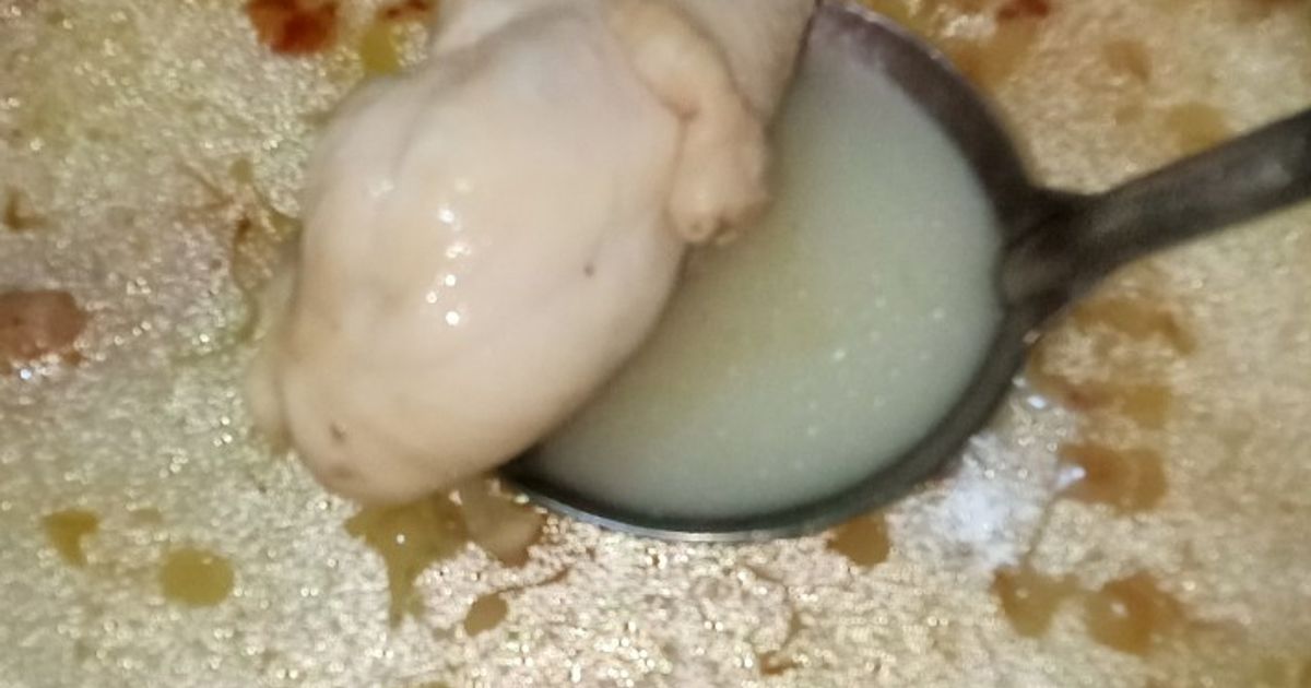 Opor ayam bumbu putih simple