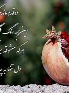 عکسی از دستور یلدا مبارک